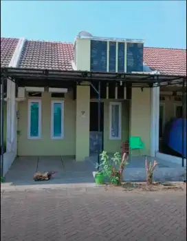 Di Kontrak kan Rumah di Tanjung Bunga dekat Dian Harapan
