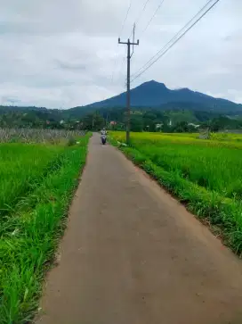 Tanah View cantik gunung salak Sejuk buat Resto cemground Di pamijahan
