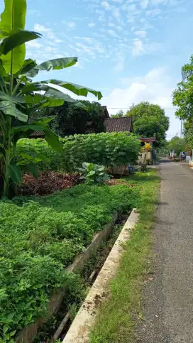 DIJUAL TANAH BAGUS UNTUK INVESTASI/RUMAH JATISARI DEKAT BSB CITY MIJEN