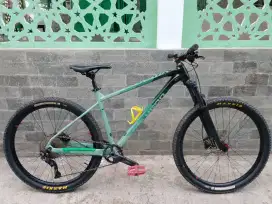 polygon xtrada 6