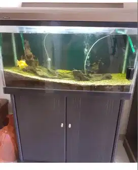 Aquarium Ikan Merk BOYU Second Kondisi Terawat + Bonus ikan di dalamny
