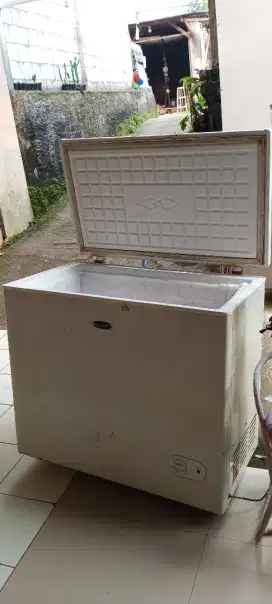Frezer bekunya poll
