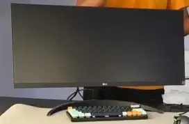 Monitor LG LED 29 inc 29WQ500 Ultra Wide