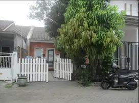 PERUM BUKIT CITRA MAS BLOK D NO 24, DRIYOREJO, GRESIK