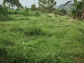 Disewakan Tanah di area prospektif Sukamakmur, Bogor.