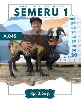 DomBa Semeru 1 A.045