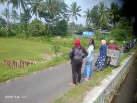 Promo Tanah Kavling Murah Banjarejo Pakis Malang dekat Pasar Sayur