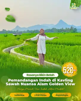 Jual Tanah Kavling SAWAH PRODUKTIF Panen Berlipat Untung Tanpa Repot