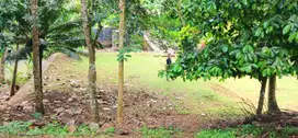 Dijual Tanah 90 Are Di Manikyang Selemadeg Tabanan Bali