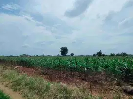 KELURAHAN KARANGCANGKRING, DUKUN, GRESIK
