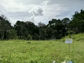 Kav tanah murah banget shm di bogor puncak megamendung