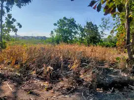 KELURAHAN PASARLEGI, SAMBENG, LAMONGAN