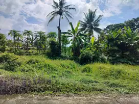 Dijual Tanah Dalam Perumahan Pemda Sleman View Sawah Dekat RSUD