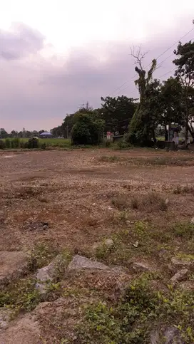 Tanah Luas Murah Lokasi Strategis Cocok untuk Gudang Winongan Pasuruan