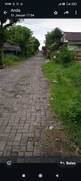 Jual tanah murah sleman purwomartani kalasan