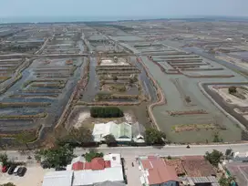 Tanah pinggir jalan di sawah luhur