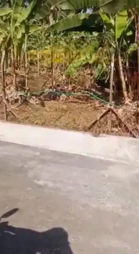 Tanah Banyumanik Pudak Payung Dekat Undip Tembalang