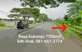 Tanah Raya Sukorejo Pasuruan
