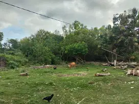 Dijual Tanah Lokasi Strategis di Jl. Anggrek - Ungasan.