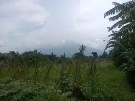 di jual tanah kebun masih murah view gunung di pancawati