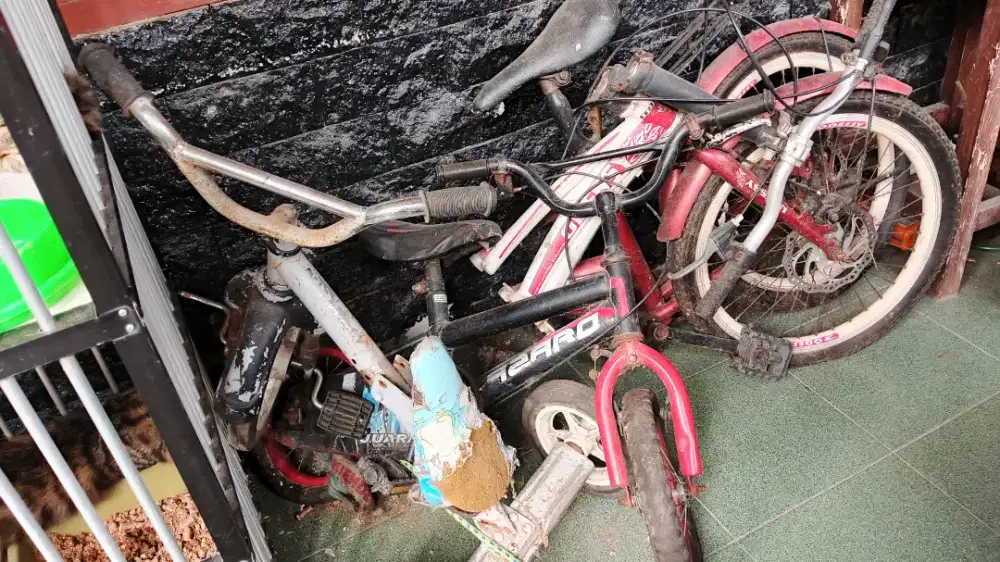paket Sepeda gak kepake cuma ditaro di teras jadi gak kerawat