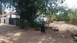 Dijual Tanah di Dangdang - Cisauk, Tangerang