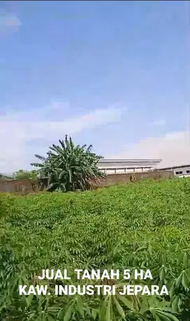 DIJUAL LAHAN INDUSTRI JEPARA, BATEALIT JEPARA