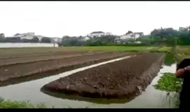 DIJUAL Tanah 1.5Ha SHM di Cimone Tangerang 3.5jt/m2 (nego)