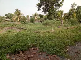 TANAH MURAH BERIKUT 2 BANGUNAN RUMAH STRATEGIS DI PARUNG  BOGOR