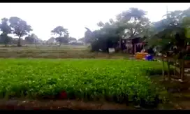 DIJUAL Tanah 1.5Ha SHM di Cimone Tangerang