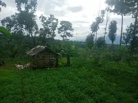 di jual tanah kebun subur di Cidahu sukabumi