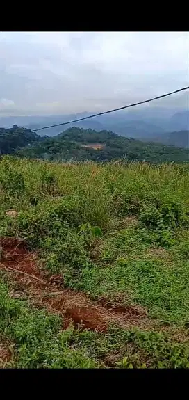 di jual tanah untuk perkebunan/peternakan di cigudeg