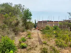 Dijual Tanah 3,42 Are Lokasi Strategis di Jl. Gedong Sari Benoa