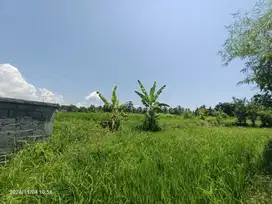 Land For Leasehold In Tebongkang Ubud Near Pepito