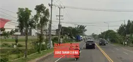 Tanah Cantiq LD 100 mtr, Dpn Exit TOL Dumpil MADIUN