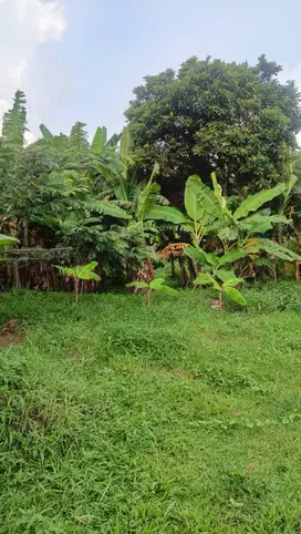 Tanah Kosong kampung nagrog