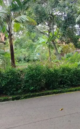 Tanah Tembalang Bulusan Undip