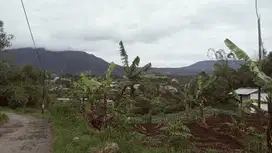 Di Jual Tanah Cocok Untuk Cluster Di Cisarua Bandung Barat
