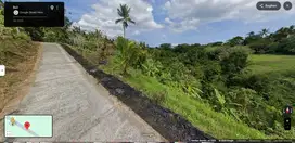 Tanah murah Bengkel Sari Selemadeg Tabanan Bali Dijual Cepat B.U Poll