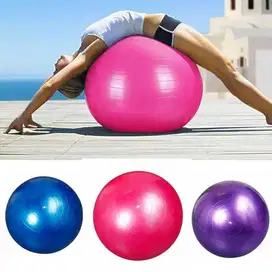 Gym Ball Bola Yoga Pilates Fitness 55cm
