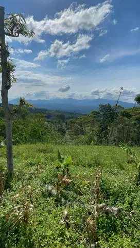 Tanah Pemandangan Gunung Akses Mobil di Sumedang Selatan Dijual Murah