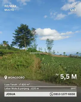 Dijual Tanah Luas Area Wisata Di Wonosobo