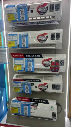 AC Sharp 1/2pk Inverter