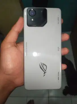 Asus ROG phone 8 + aeroactive cooler nego tipis