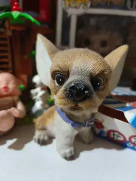 Pajangan anjing