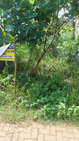 Dijual sebidang tanah kosong