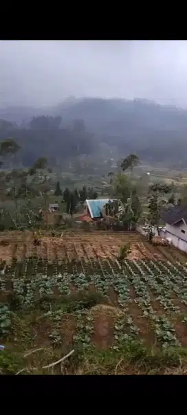 Dijual Tanah Produktif – Cocok untuk Villa di Ciwidey