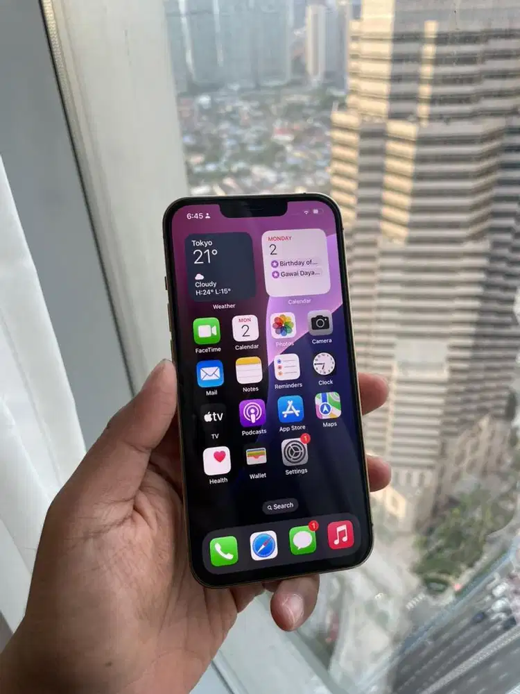 Iphone 13 Pro 256 beacukai resmi ibox