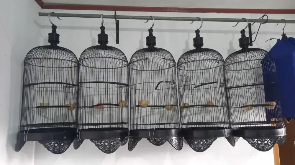 Sangkar besi lovebird.kenari.konin.dll
