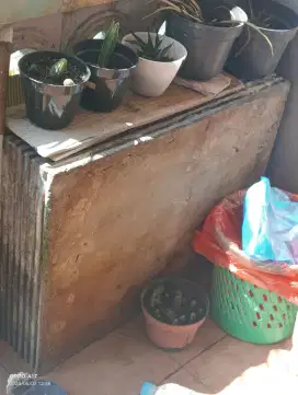 Kolam ikan hias